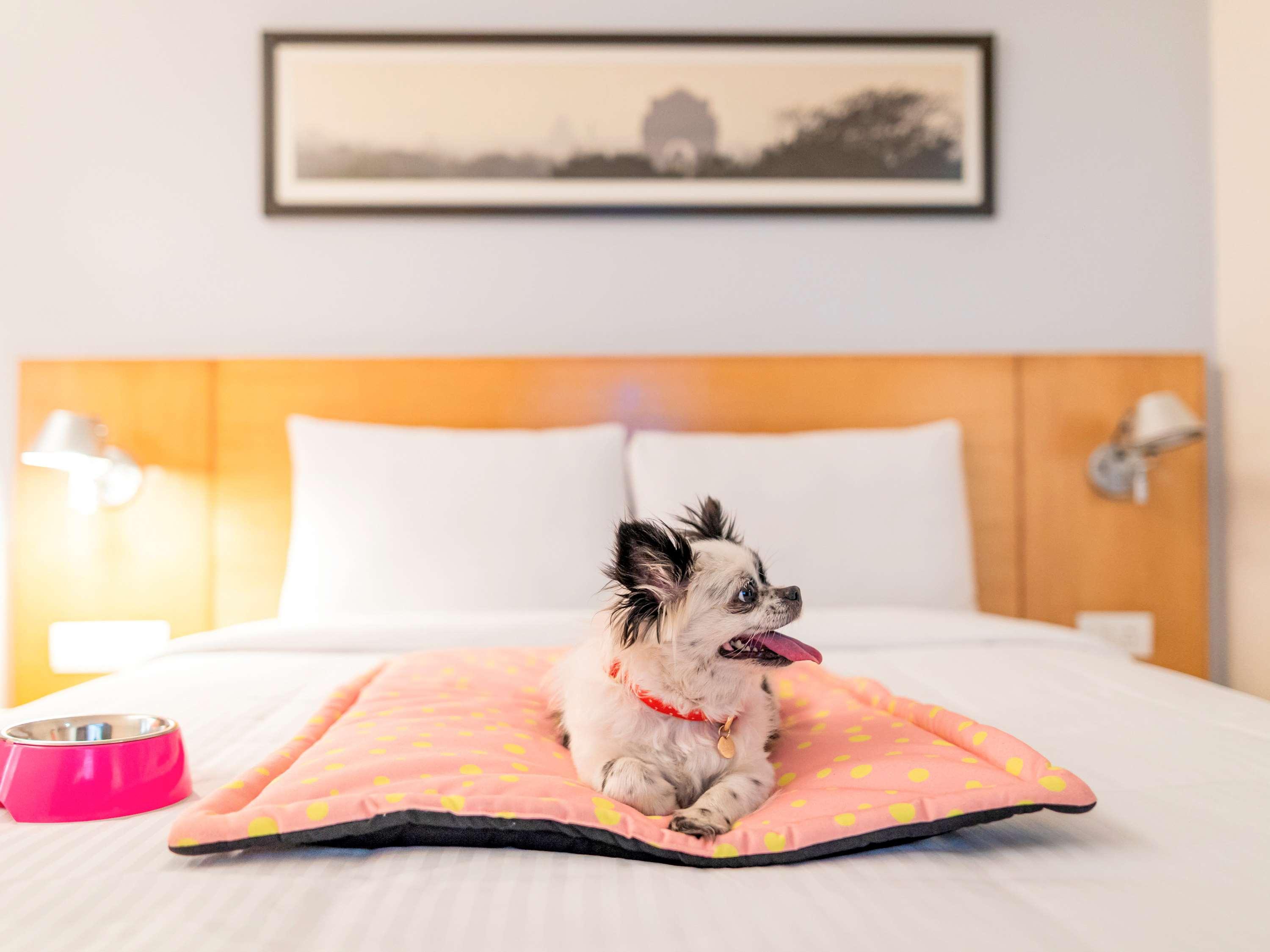 Ibis Kochi City Centre - An Accor Brand Екстер'єр фото