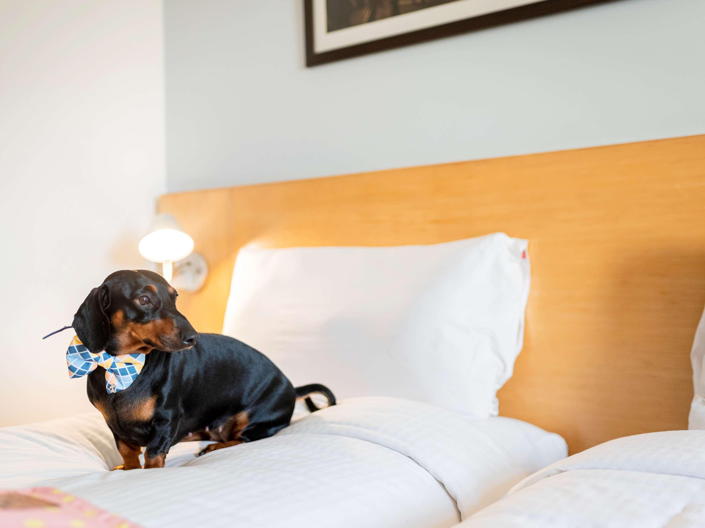 Ibis Kochi City Centre - An Accor Brand Екстер'єр фото